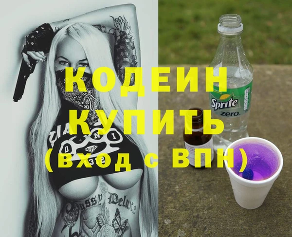 амф Гусь-Хрустальный