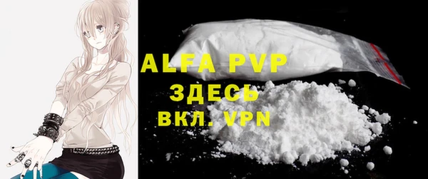 амф Гусь-Хрустальный