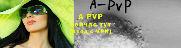 амф Гусь-Хрустальный