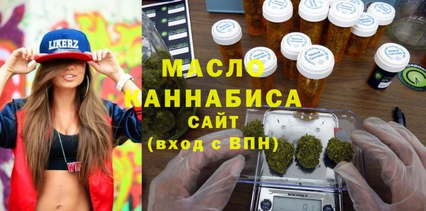 амф Гусь-Хрустальный