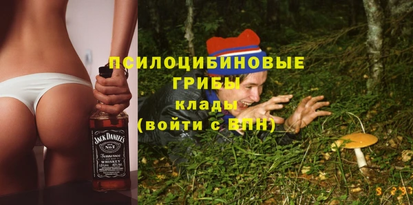 прущий лед Гусиноозёрск