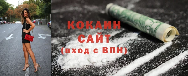 амф Гусь-Хрустальный