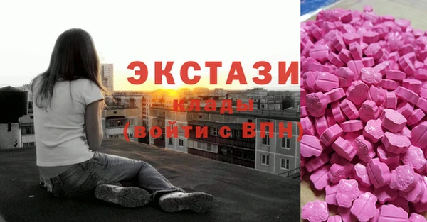 амф Гусь-Хрустальный
