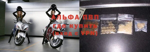 амф Гусь-Хрустальный